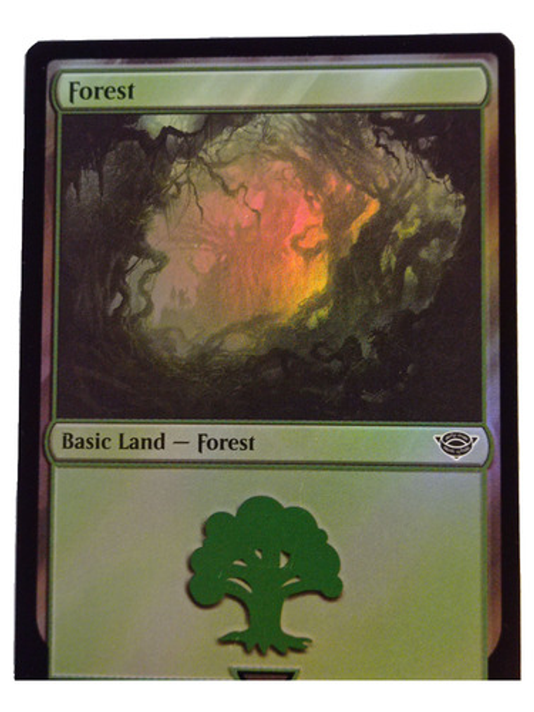 Carta Magic Lord Of The Rings Forest Land (foil) Mtg Lotr 2