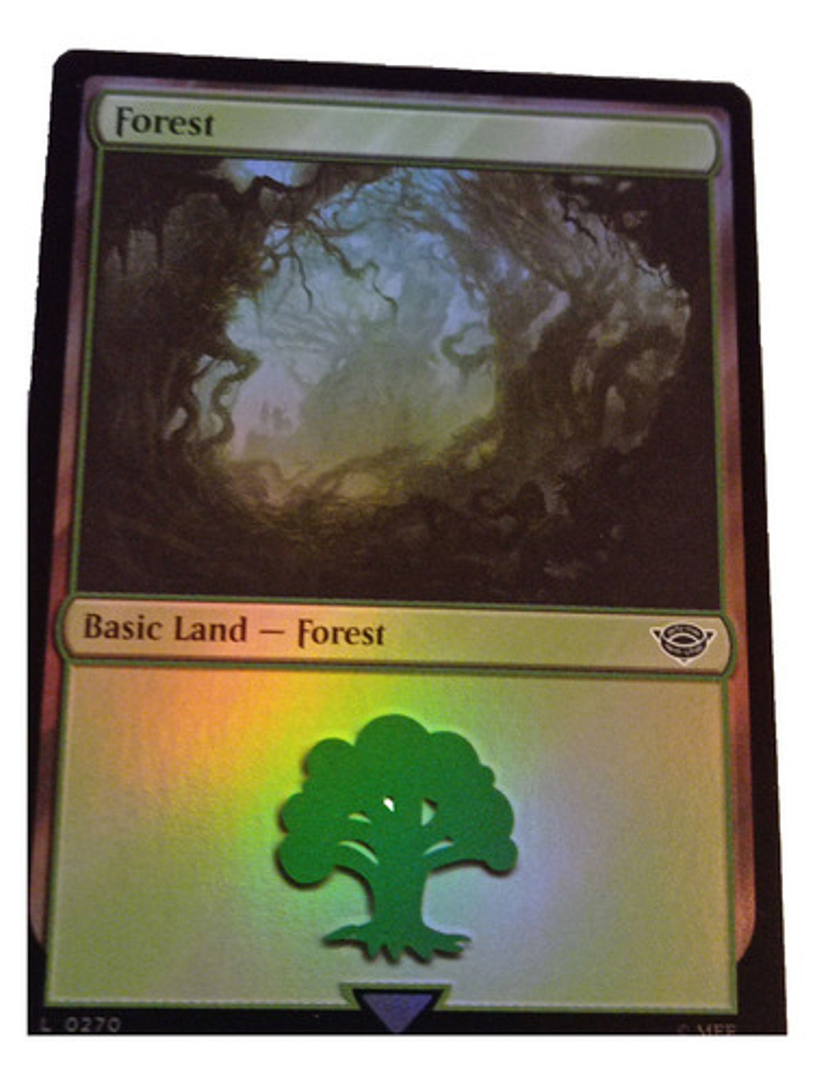 Carta Magic Lord Of The Rings Forest Land (foil) Mtg Lotr 3