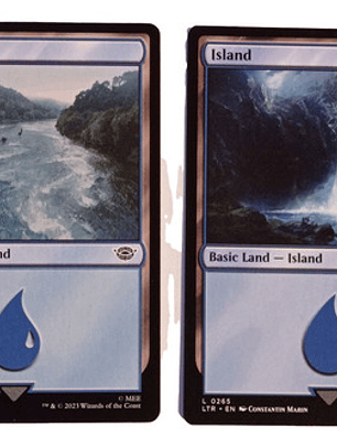 2 Cartas Magic Lord Of The Rings Island Lands Mtg Lotr