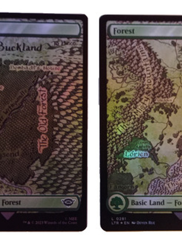 2 Cartas Magic Lord Of The Rings Forest Lands (foil) Mtg 2