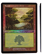 2 Cartas Magic Commander Masters Forest Lands (foil) Mtg - Miniatura 2