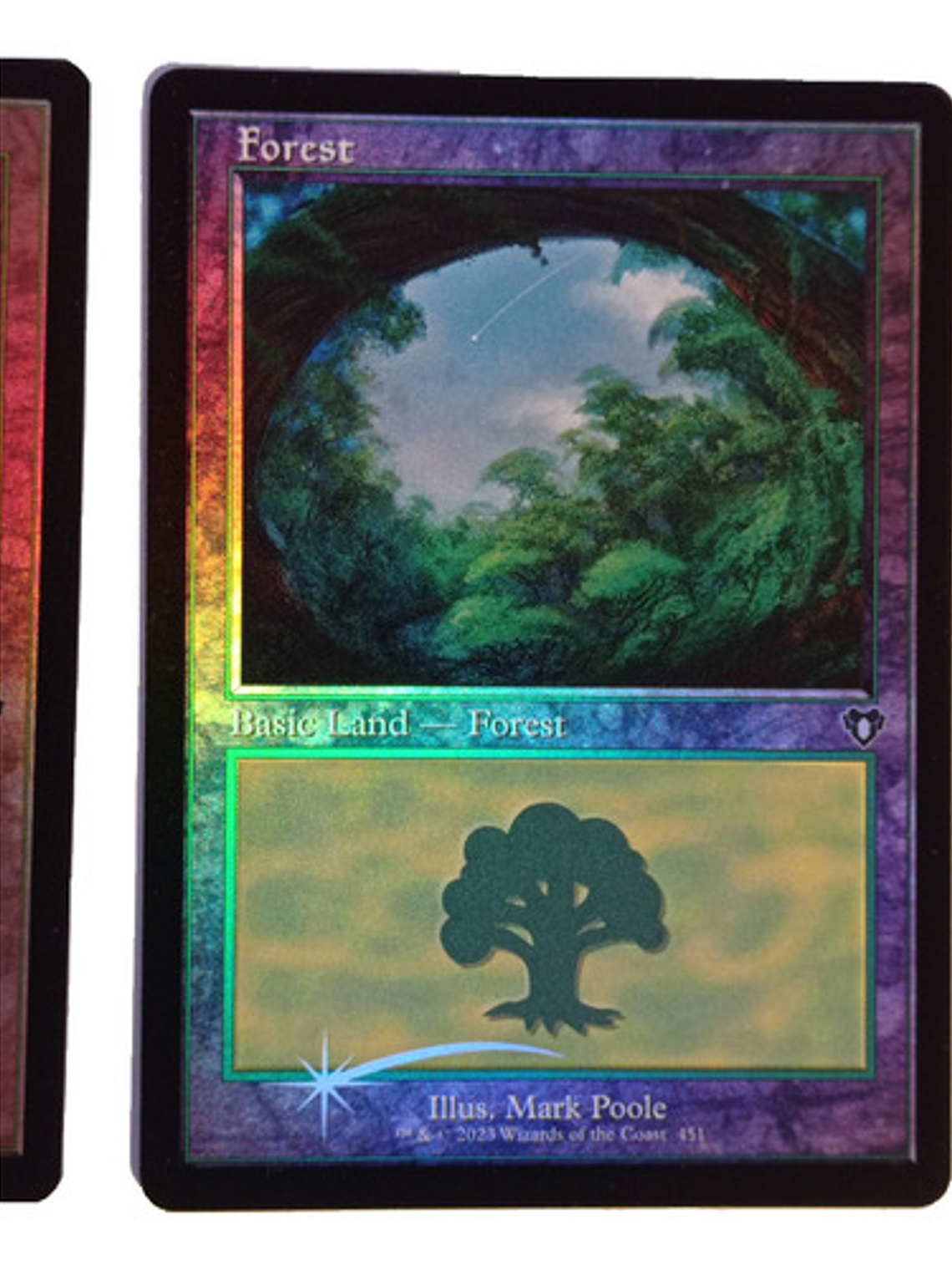 2 Cartas Magic Commander Masters Forest Lands (foil) Mtg 3