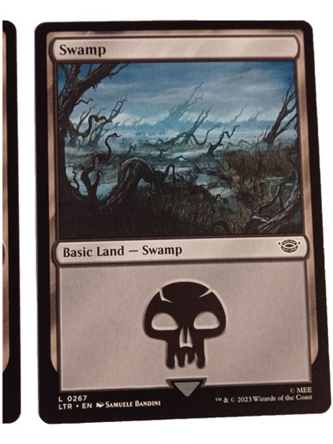 2 Cartas Magic Lord Of The Rings Swamp Land Mtg Lotr 2