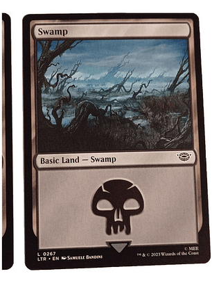 2 Cartas Magic Lord Of The Rings Swamp Land Mtg Lotr