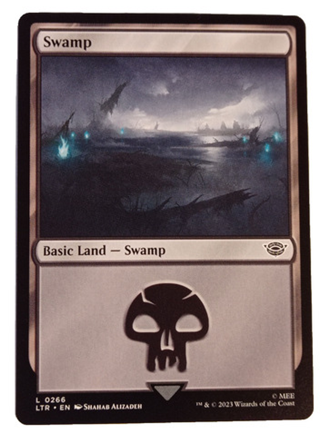 2 Cartas Magic Lord Of The Rings Swamp Land Mtg Lotr 3