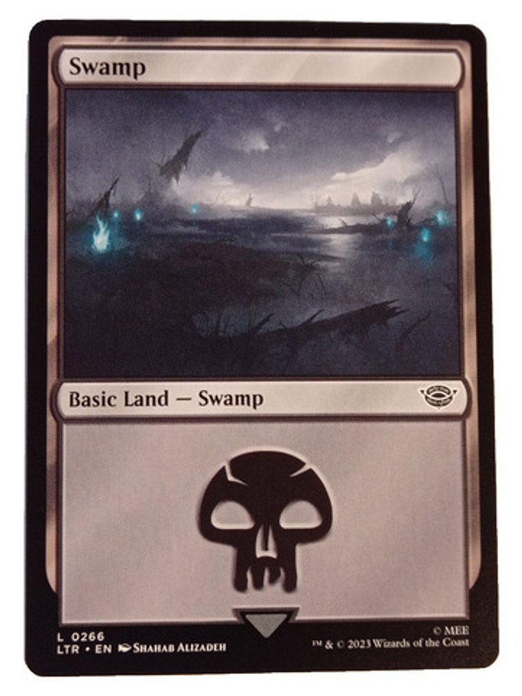 2 Cartas Magic Lord Of The Rings Swamp Land Mtg Lotr 3