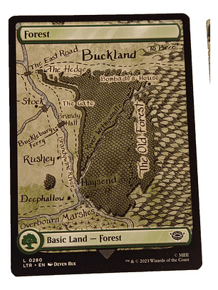 2 Cartas Magic Lord Of The Rings Forest Lands Mtg Lotr