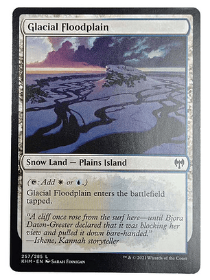 Carta Magic Glacial Floodplain [kaldheim] Mtg Snow Land