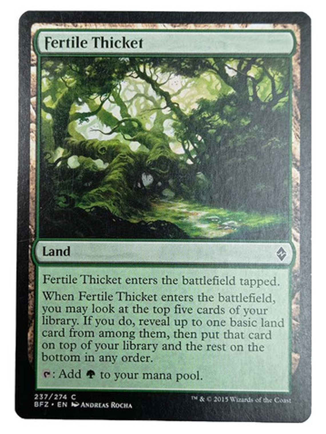 Carta Magic Fertile Thicket [zendikar] Mtg Land 1