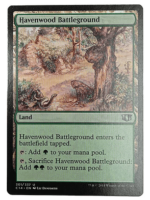 Carta Magic Havenwood Battleground [c14] Mtg Land