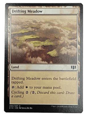 Carta Magic Drifting Meadow [c14] Mtg Land