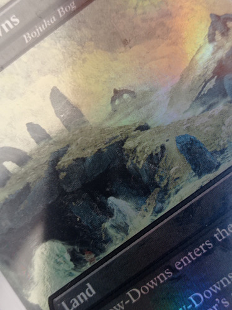 Carta Magic Barrow-downs (foil) [middle Earth] Mtg Land 2