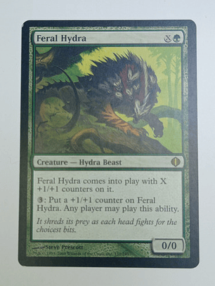 Carta Magic Feral Hydra [shards Alara] Mtg Beast