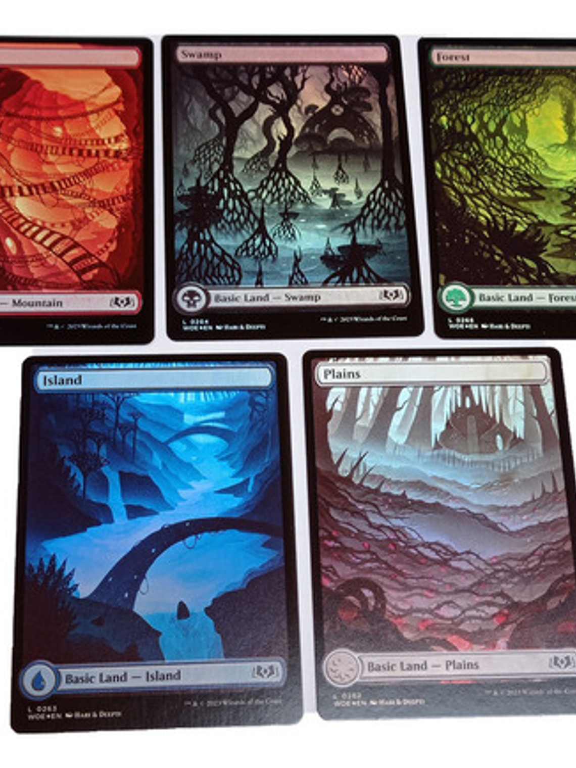 Set 5 Cartas Magic Wilds Of Eldraine Lands (foil) Mtg 1