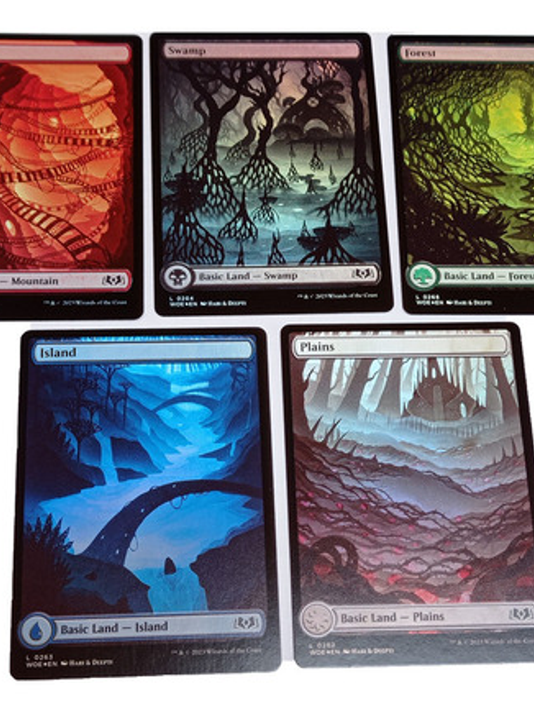 Set 5 Cartas Magic Wilds Of Eldraine Lands (foil) Mtg 1