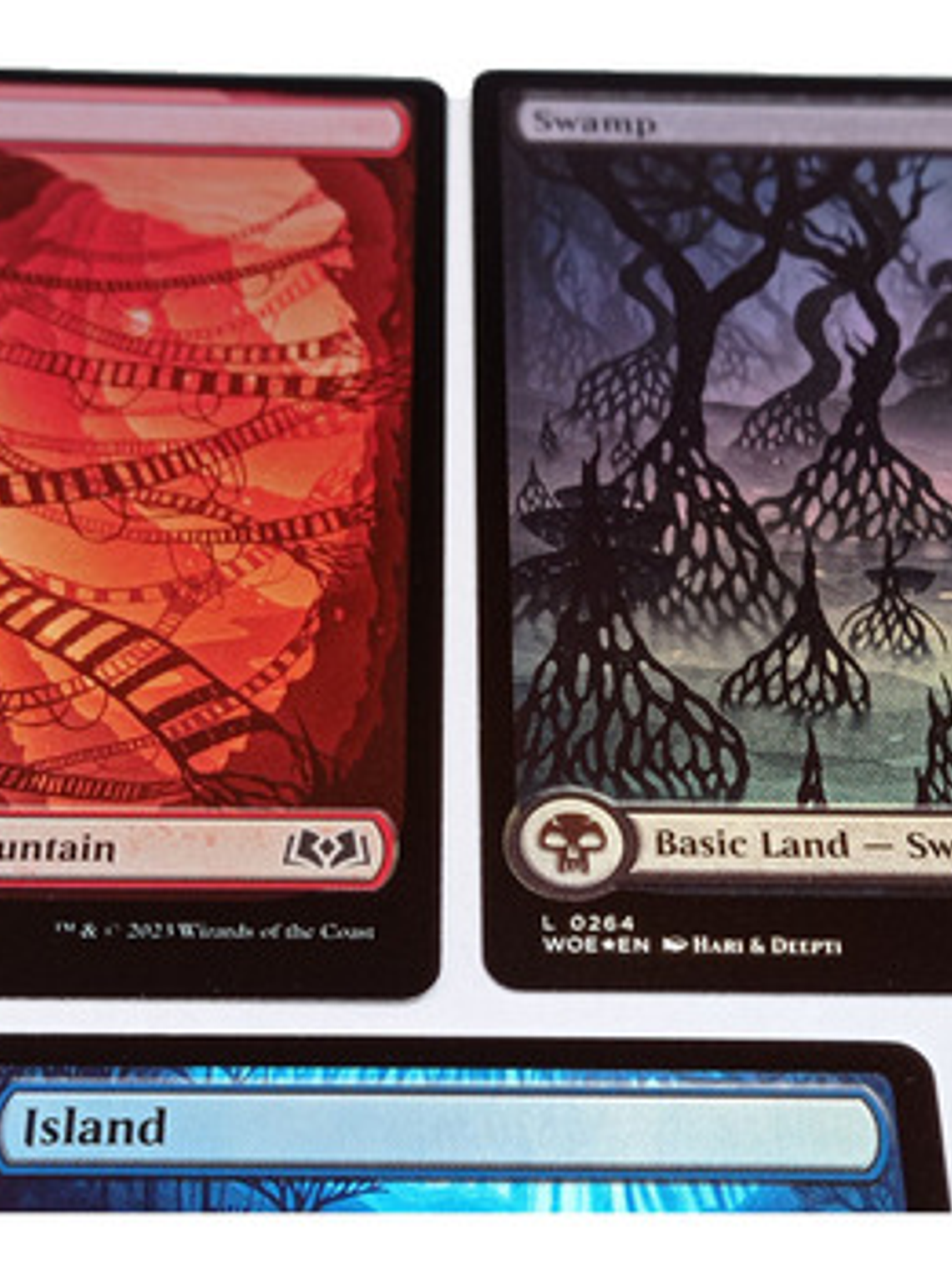 Set 5 Cartas Magic Wilds Of Eldraine Lands (foil) Mtg 3