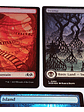 Set 5 Cartas Magic Wilds Of Eldraine Lands (foil) Mtg - Miniatura 3