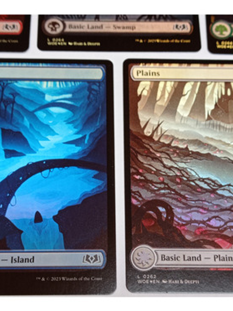 Set 5 Cartas Magic Wilds Of Eldraine Lands (foil) Mtg 5