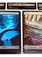 Set 5 Cartas Magic Wilds Of Eldraine Lands (foil) Mtg - Miniatura 5