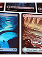 Set 5 Cartas Magic Wilds Of Eldraine Lands (foil) Mtg - Miniatura 6