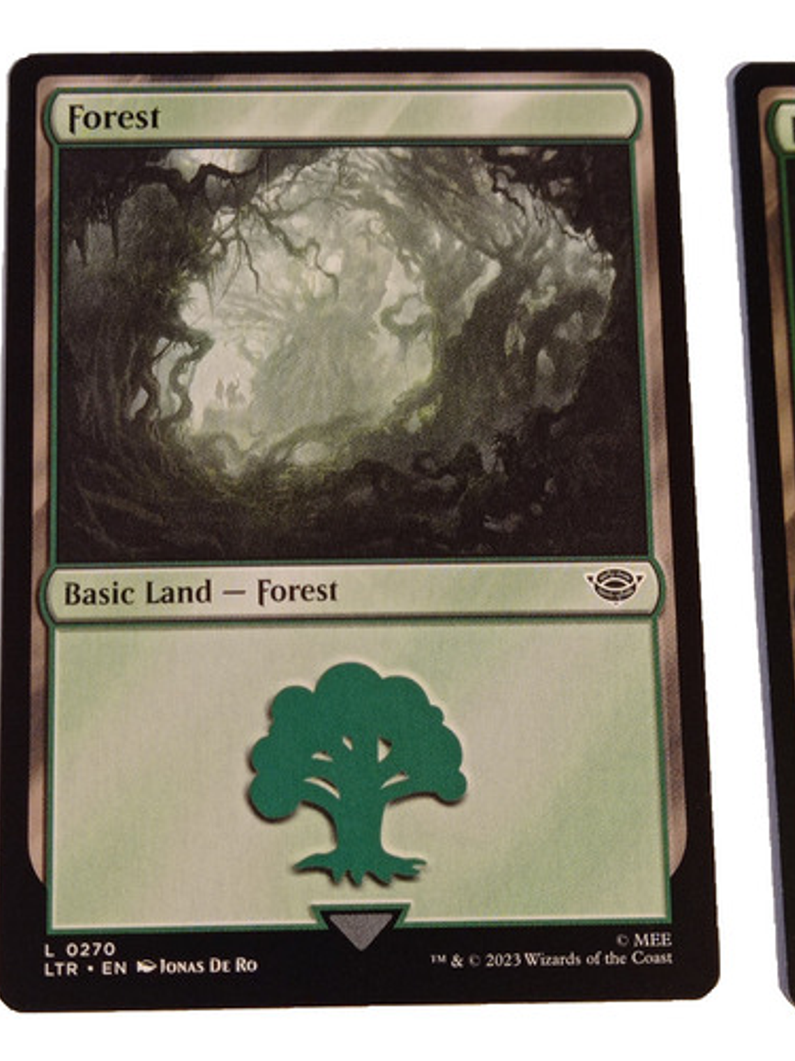 2 Cartas Magic Lord Of The Rings Forest Lands Mtg 2