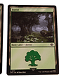 2 Cartas Magic Lord Of The Rings Forest Lands Mtg - Miniatura 3