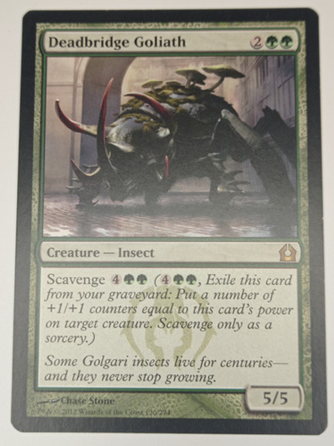 Carta Magic Deadbridge Goliath [return Ravnica] Mtg Insect 1