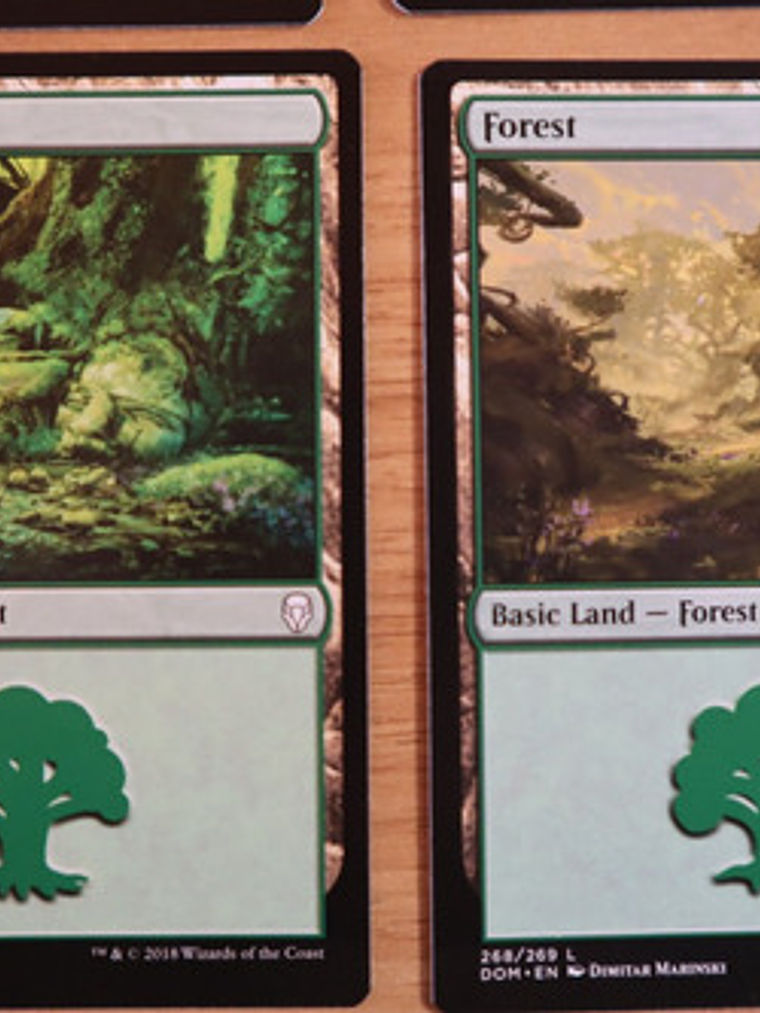 Set 4 Cartas Magic Bosque Forest Tierra Land 2018 Dominaria 3