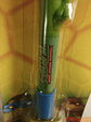 Lapiz Tmnt 2004 Leo Wobble Writer Pen Leonardo Lapiz - Miniatura 5