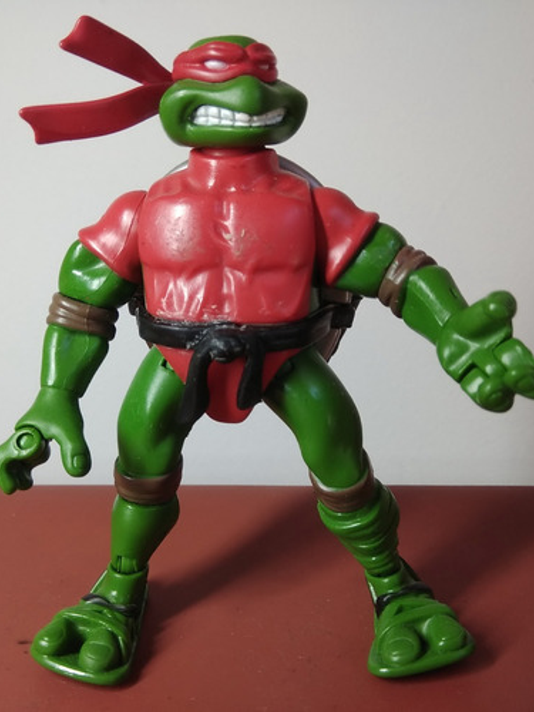 Ninja Knight Raphael 2004 Tmnt Tortugas Ninja 1