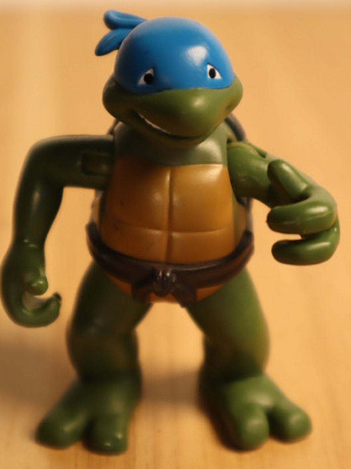 Toddler Leo 2004 Tmnt Leonardo Tortugas Ninja 1