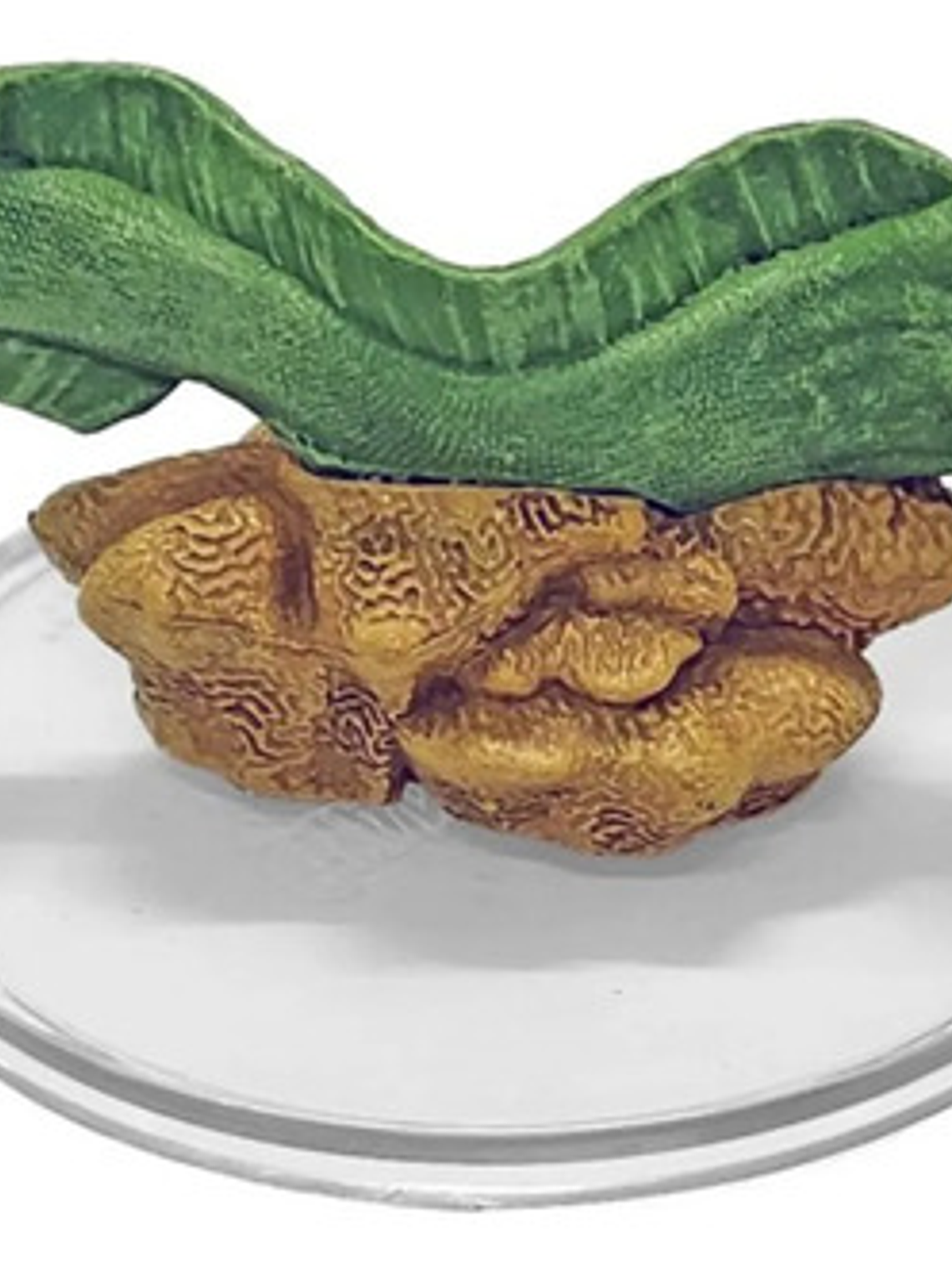 Giant Sea Eel #30 Dungeons Dragons Seas And Shores 1