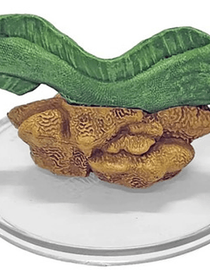 Giant Sea Eel #30 Dungeons Dragons Seas And Shores