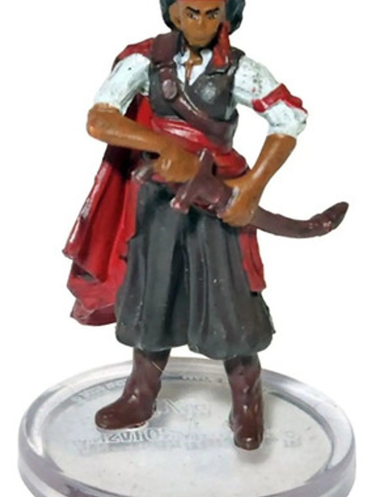 Ansalon Human #8 Dragonlance Dungeons And Dragons 1