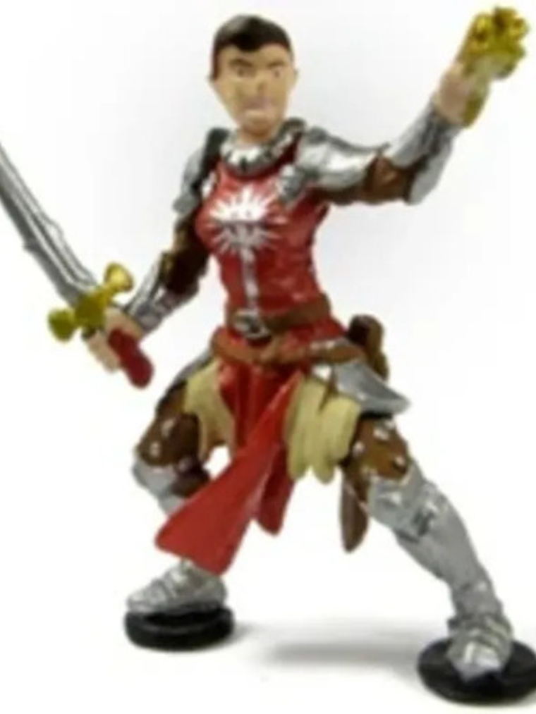 Half-elf Cleric #19 Heroes And Monsters Dungeons And Dragons 1