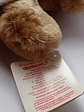 Peluche Oso Teddy Grahams 1990 Applause - Miniatura 9