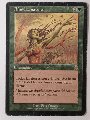Carta Magic Afinidad Natural [mercadian] Mtg