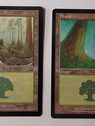 Magic The Gathering Lands 2x Forest Mercadian Masques Mtg
