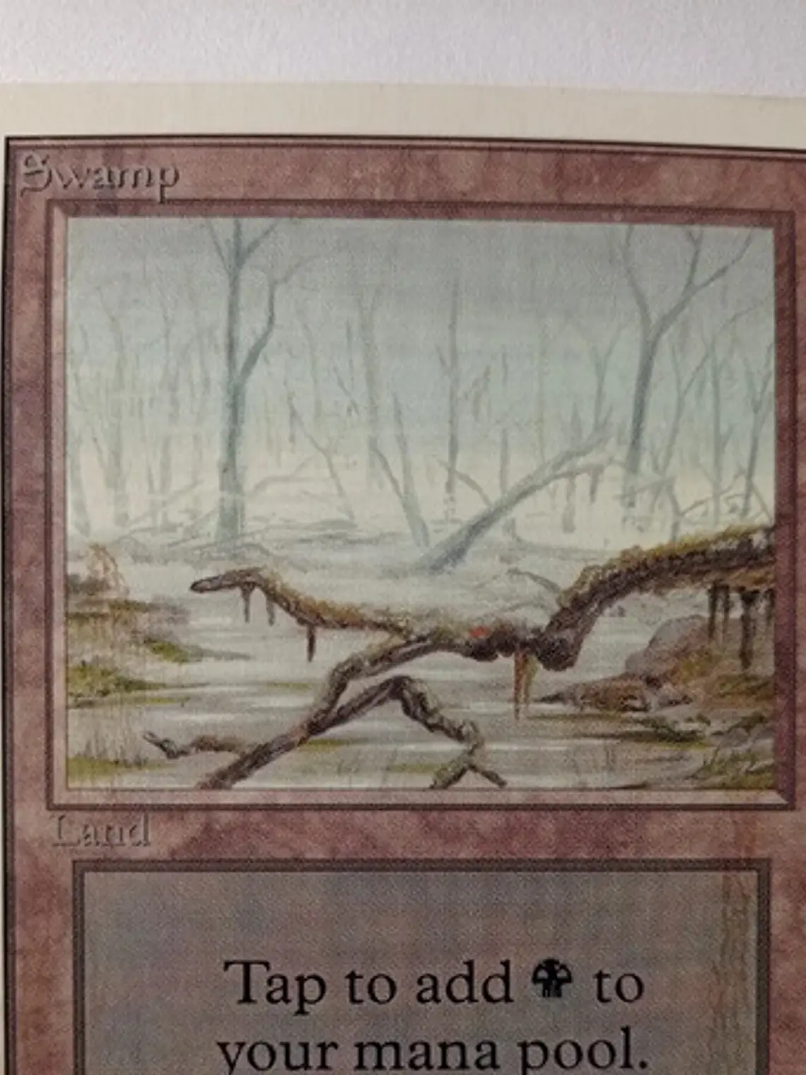 Magic The Gathering Lands 1x Swamp Unlimited Mtg 1