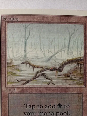 Magic The Gathering Lands 1x Swamp Unlimited Mtg