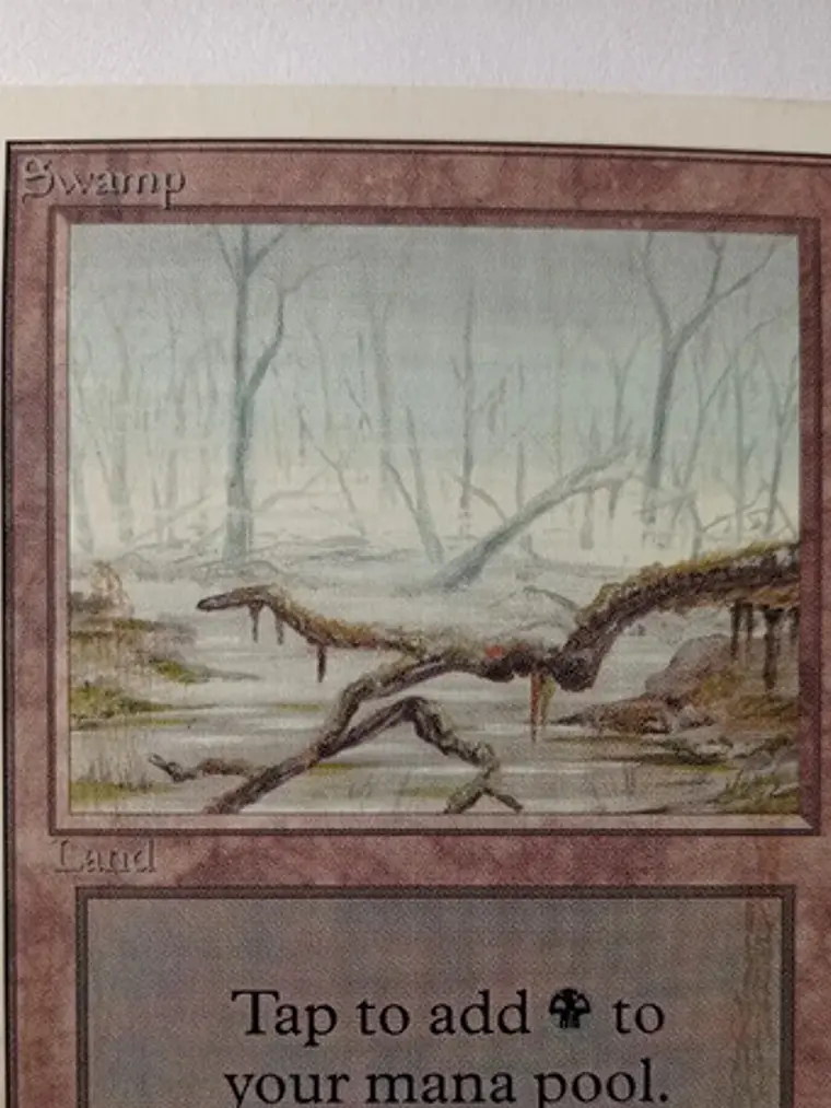Magic The Gathering Lands 1x Swamp Unlimited Mtg 1