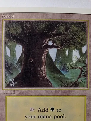 Magic The Gathering Lands 1x Forest Revised Ed Mtg