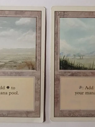 Magic The Gathering Lands 2x Plains Revised Ed Mtg