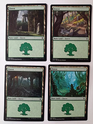 Magic The Gathering Lands 4x Forest Throne Eldraine Mtg