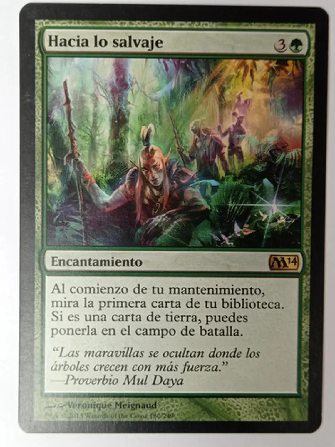 Hacia Lo Salvaje [m14] 1