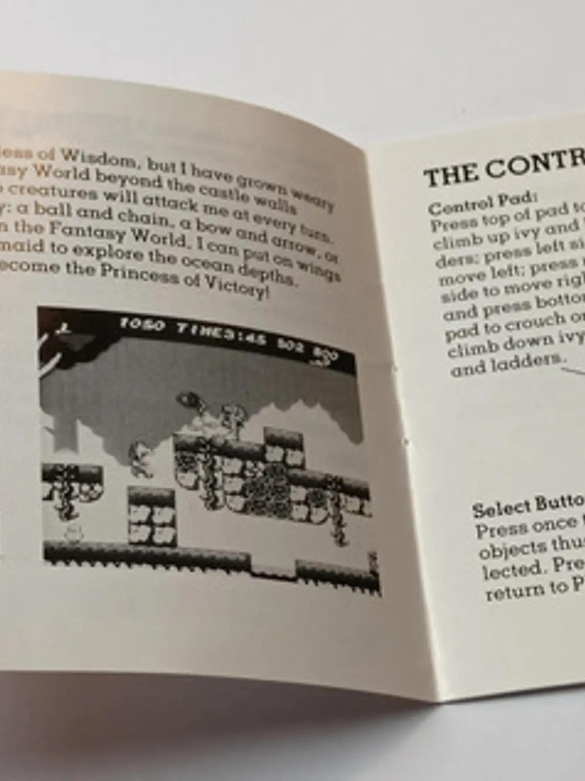 Manual De Athena 1987 Nes Snk Nintendo 2