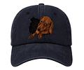 Gorro Con Diseño De Perro Salchicha