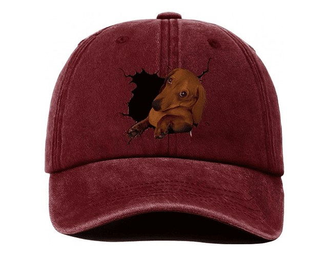 Gorro Con Diseño De Perro Salchicha