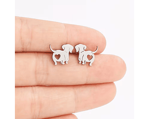 Aros perrito de acero inoxidable