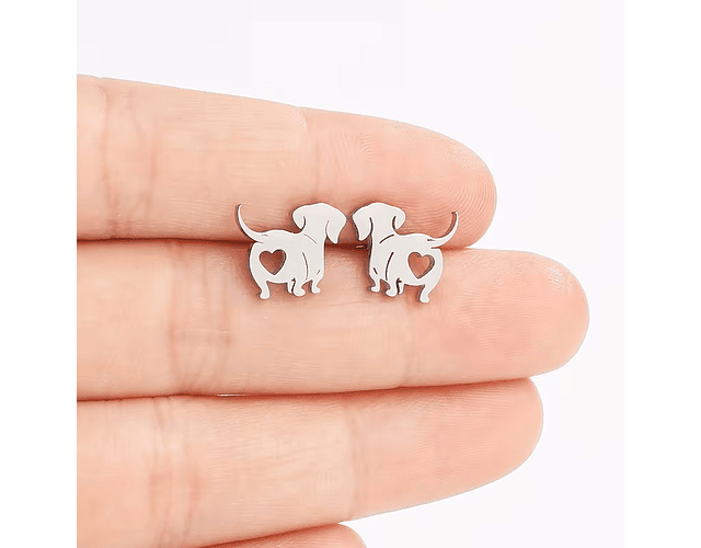 Aros perrito de acero inoxidable